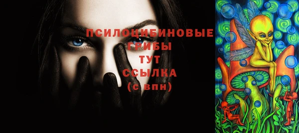 соль ск Аркадак