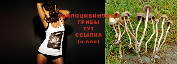 амф Коряжма